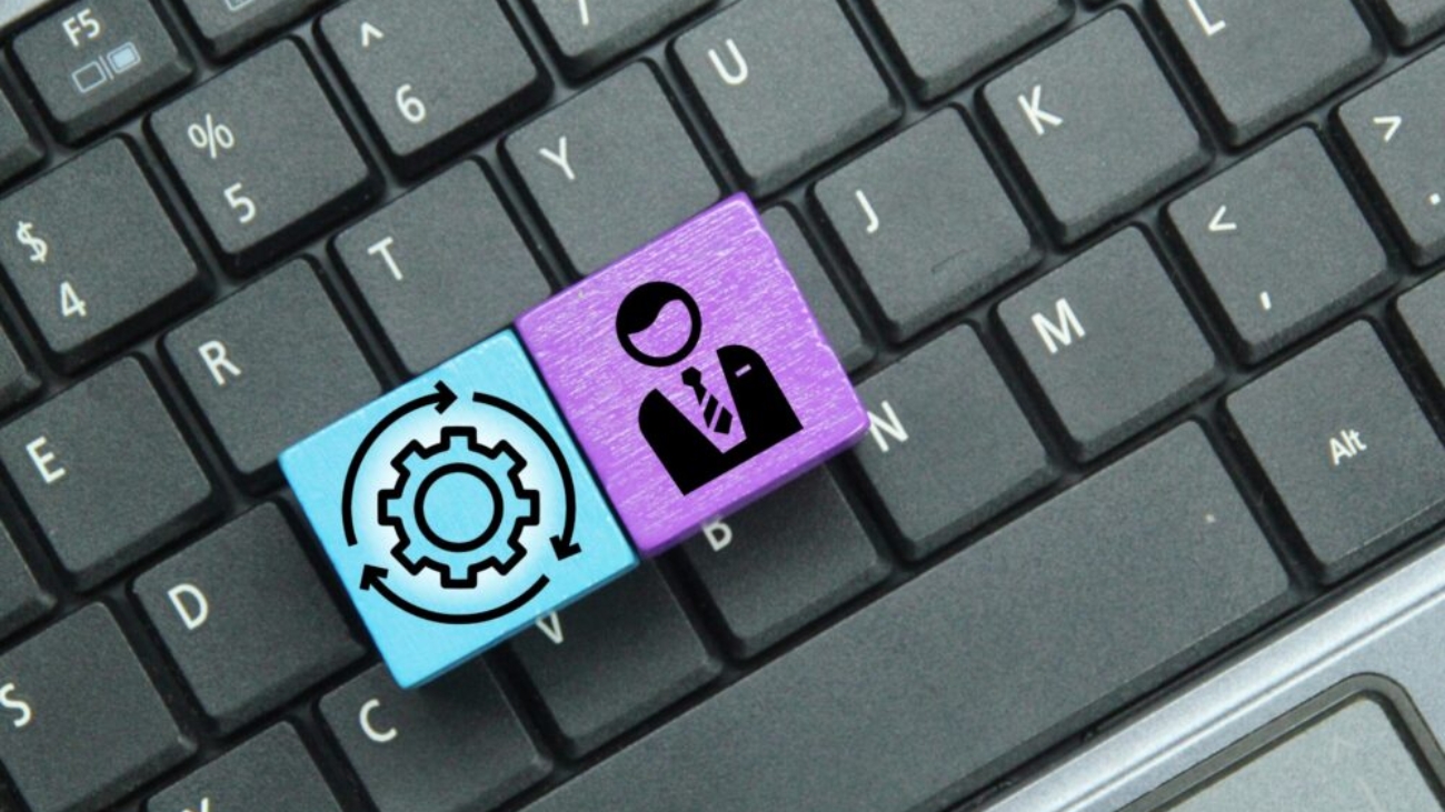 Coloured cubes with employee and management icons visualising NetSuite ERP roles and organisational flow.